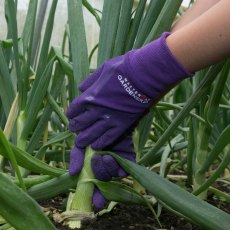 Master Gardener Glove Aubergine