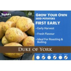 Taylor's Bulbs Seed Potatoes Duke Of York 2kg
