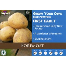 Taylor's Bulbs Seed Potatoes Foremost 2kg