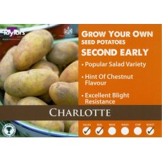 Taylor's Bulbs Seed Potatoes Charlotte 2kg