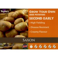 Taylor's Bulbs Seed Potatoes Saxon 2kg Taylor's Bulbs Seed Potatoes Saxon 2kg