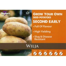 Taylor's Bulbs Seed Potatoes Wilja 2kg
