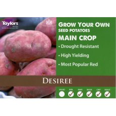 Taylor's Bulbs Seed Potatoes Desiree 2kg
