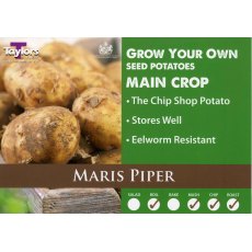 Taylor's Bulbs Seed Potatoes Maris Piper 2kg