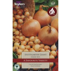 Taylor's Bulbs Onion Stuttgarter Giant Taylor's Bulbs Onion Stuttgarter Giant