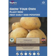 Taylo's Bulbs Seed Potatoes Foremost 10 Pack