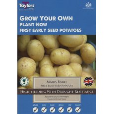 Taylor's Bulbs Seed Potatoes Maris Bard 10 Pack