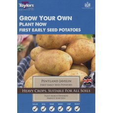 Taylor's Bulbs Seed Potatoes Pentland Javelin 10 Pack