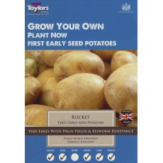 Taylor's Bulbs Seed Potatoes Rocket 10 Pack