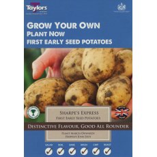 Taylor's Bulbs Seed Potatoes Sharpe's Express 10 Pack