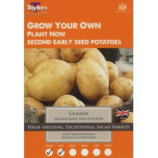 Taylor's Bulbs Seed Potatoes Gemson 10 Pack