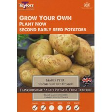Taylor's Bulbs Seed Potatoes Maris Peer 10 Pack