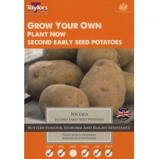 Taylor's Bulbs Seed Potatoes Nicola 10 Pack