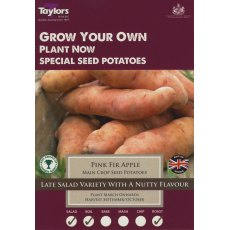 Taylor's Bulbs Seed Potatoes Pink Fir Apple 10 Pack