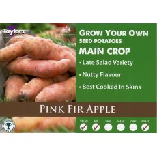 Taylor's Bulbs Seed Potatoes Pink Fir Apple 2kg