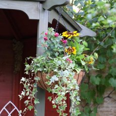 Smart Hanging Basket