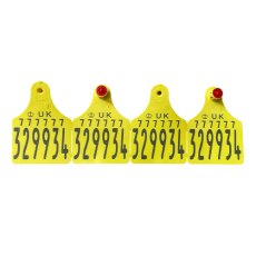 Flexo Replacement Ear Tag Large