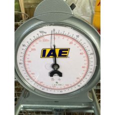 IAE Weigh Scales 100kg