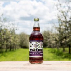 Sam's Cider Blackcurrant 500ml 4%