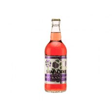 Sam's Cider Blackcurrant 500ml 4%