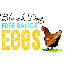Black Dog Free Range Large Eggs
