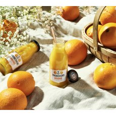 Frobrishers Orange Juice 250ml