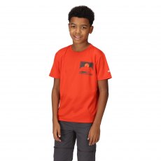 Regatta Alvarado T-Shirt Rust