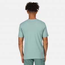 Regatta Tait Tshirt Ivy