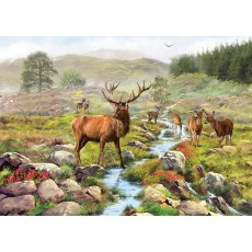 1000 Piece Jigsaw National Park