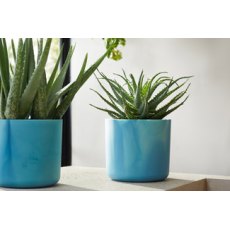 Ocean Collection Round Pot Atlantic Blue