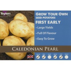 Taylor's Bulbs Seed Potatoes Caledonian Pearl 2kg