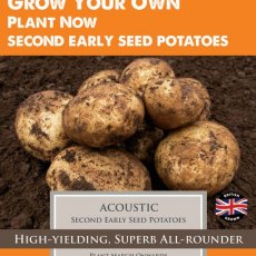 Taylor's Bulbs Seed Potatoes Acoustic 10 Pack