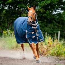 Trojan 50g Combo Turnout Rug Navy/Beige