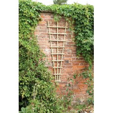 Traditional Fan Trellis 1.8m x 60cm