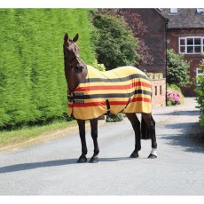 Tempest Fleece Stripe Rug Gold