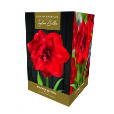 Taylors Bulb Amaryllis Gift Pack Assorted