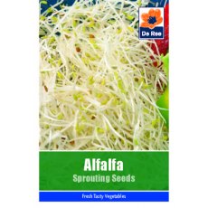 Alfalfa Sprouting Seeds