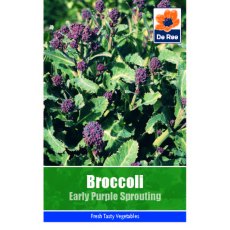 BROCCOLI EARLY PURPLE SPROUTING