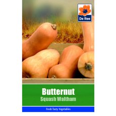 Butternut Squash Waltham Seeds