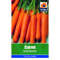 Carrot Early Nantes 2 Seeds