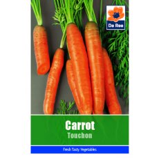 Carrot Touchon Seeds