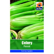 Celery Pascal Seeds