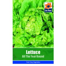 Lettuce All Year Round Seeds