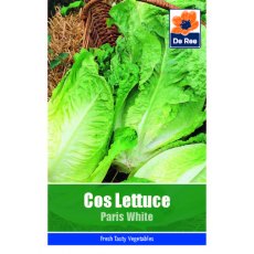 Lettuce Cos Paris White Seeds