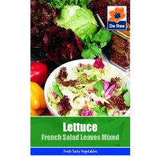 Lettuce French Salad Leaves Mix Seeds