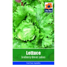 Lettuce Iceberg Great Lakes Seeds