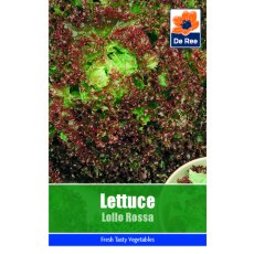 Lettuce Lollo Rossa Seeds