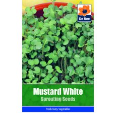 Mustard Seed White Seeds
