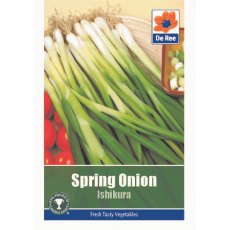 Onion Ishikura Seeds