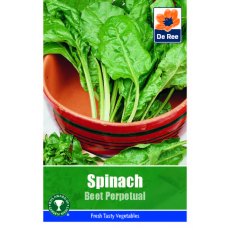 Spinach Beet Perpetual Seeds